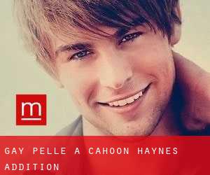 Gay Pelle a Cahoon Haynes Addition
