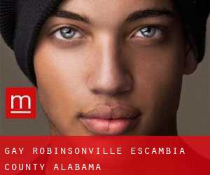 gay Robinsonville (Escambia County, Alabama)