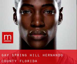 gay Spring Hill (Hernando County, Florida)