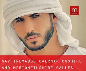 gay Tremadog (Caernarfonshire and Merionethshire, Galles)