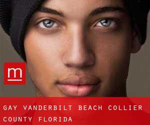 gay Vanderbilt Beach (Collier County, Florida)
