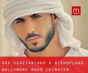 Gay Vegetariano a Bishopland Ballymore Road (Leinster)
