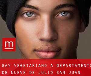 Gay Vegetariano a Departamento de Nueve de Julio (San Juan)