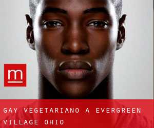Gay Vegetariano a Evergreen Village (Ohio)