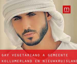 Gay Vegetariano a Gemeente Kollumerland en Nieuwkruisland