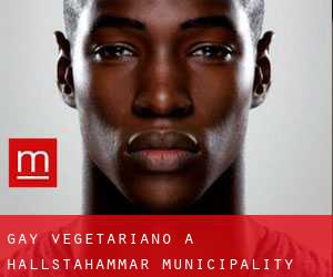 Gay Vegetariano a Hallstahammar Municipality