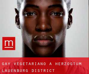 Gay Vegetariano a Herzogtum Lauenburg District