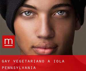 Gay Vegetariano a Iola (Pennsylvania)