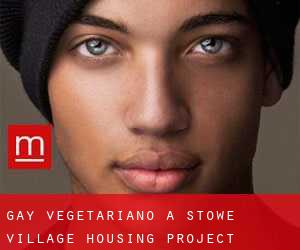 Gay Vegetariano a Stowe Village Housing Project