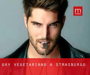 Gay Vegetariano a Strasburgo Gay Vegetariano a Strasburgo