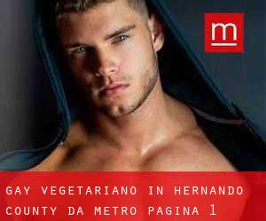Gay Vegetariano in Hernando County da metro - pagina 1