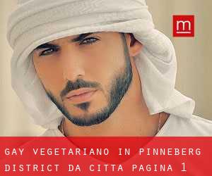 Gay Vegetariano in Pinneberg District da città - pagina 1