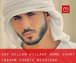 gay Willow Village Home Court (Ingham County, Michigan)