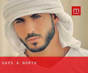 Gays a North Gays a North