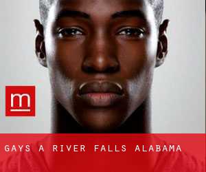 Gays a River Falls (Alabama)