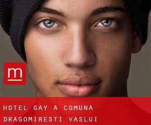 Hotel Gay a Comuna Dragomireşti (Vaslui)
