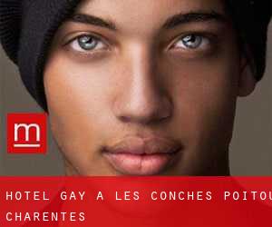 Hotel Gay a Les Conches (Poitou-Charentes)
