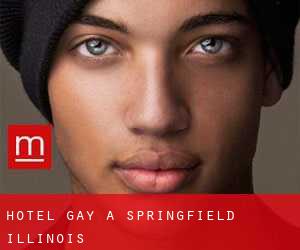 Hotel Gay a Springfield (Illinois)