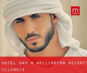 Hotel Gay a Wellington Heights (Illinois)
