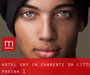 Hotel Gay in Charente da città - pagina 1