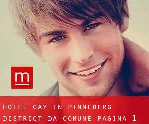 Hotel Gay in Pinneberg District da comune - pagina 1
