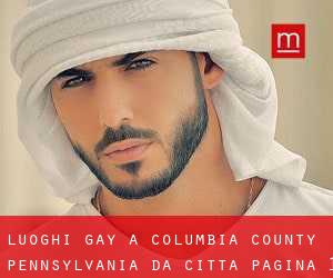luoghi gay a Columbia County Pennsylvania da città - pagina 1