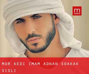 Mor Kedi Imam Adnan Soakak (Şişli)