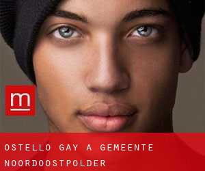 Ostello Gay a Gemeente Noordoostpolder