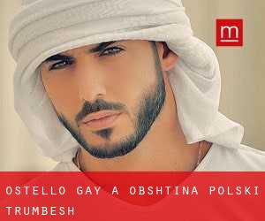 Ostello Gay a Obshtina Polski Trŭmbesh