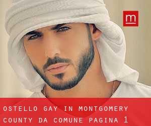Ostello Gay in Montgomery County da comune - pagina 1