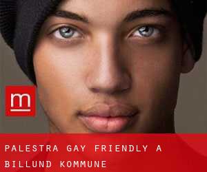 Palestra Gay Friendly a Billund Kommune