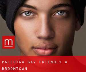 Palestra Gay Friendly a Broomtown