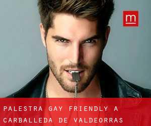 Palestra Gay Friendly a Carballeda de Valdeorras