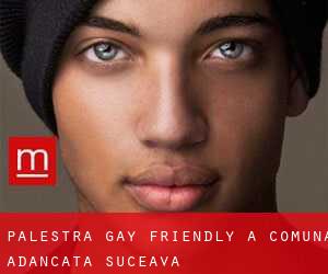 Palestra Gay Friendly a Comuna Adâncata (Suceava)