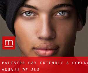 Palestra Gay Friendly a Comuna Asuaju de Sus
