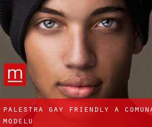 Palestra Gay Friendly a Comuna Modelu