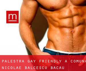 Palestra Gay Friendly a Comuna Nicolae Bălcescu (Bacău)