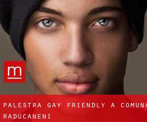 Palestra Gay Friendly a Comuna Răducăneni