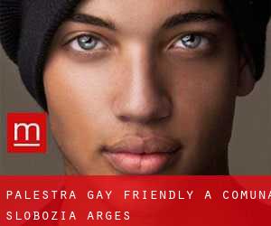 Palestra Gay Friendly a Comuna Slobozia (Argeş)
