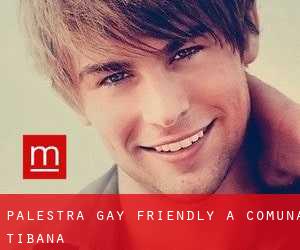 Palestra Gay Friendly a Comuna Ţibana