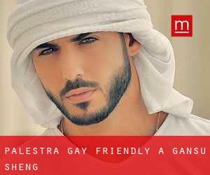 Palestra Gay Friendly a Gansu Sheng