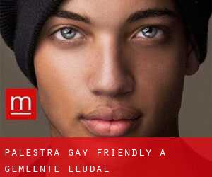 Palestra Gay Friendly a Gemeente Leudal