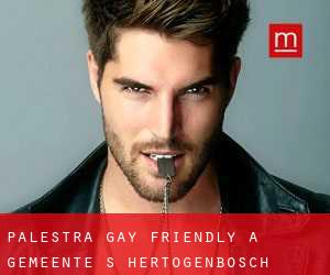Palestra Gay Friendly a Gemeente 's-Hertogenbosch