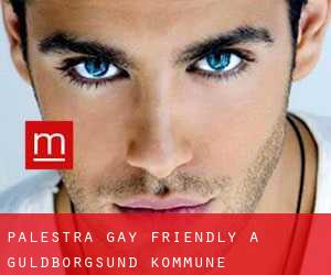 Palestra Gay Friendly a Guldborgsund Kommune