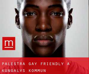 Palestra Gay Friendly a Kungälvs Kommun