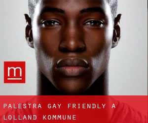 Palestra Gay Friendly a Lolland Kommune