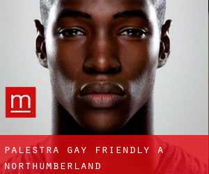 Palestra Gay Friendly a Northumberland