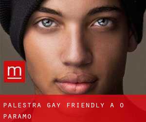Palestra Gay Friendly a O Páramo
