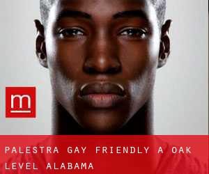 Palestra Gay Friendly a Oak Level (Alabama)
