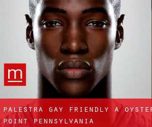 Palestra Gay Friendly a Oyster Point (Pennsylvania)